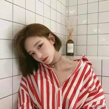 小象寻母